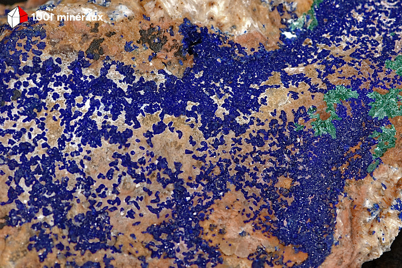 Azurite du Maroc - Détail des cristaux bleu foncé et inclusions de Malachite verte - 187 g