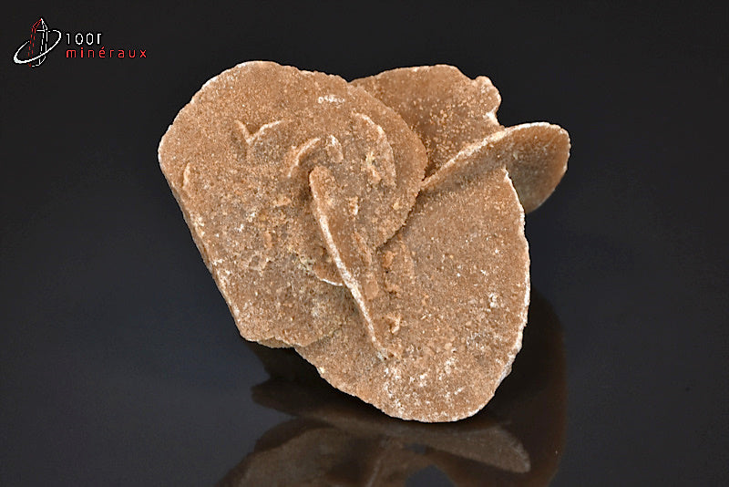 Minéral cristallisé de rose des sables du Maroc