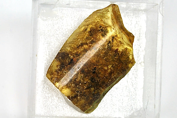 Copal jaune de Madagascar