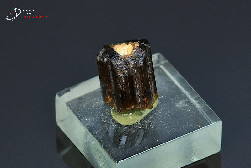 Minéral cristallisé de dravite ou tourmaline brune de Madagascar