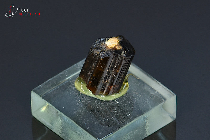 Minéral cristallisé de dravite ou tourmaline brune de Madagascar