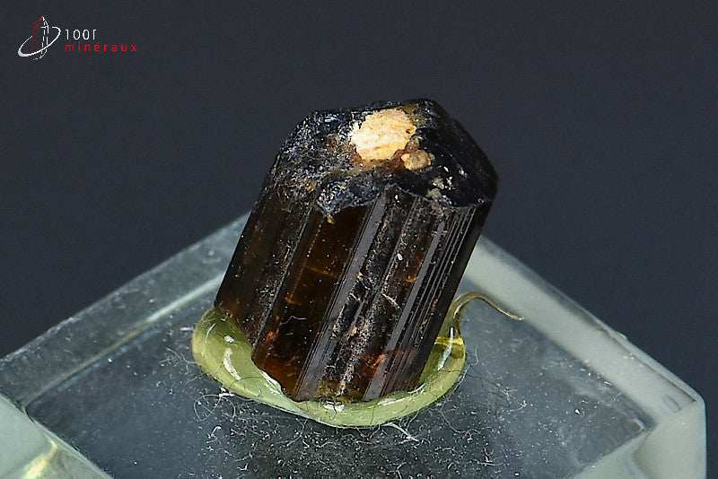 Minéral cristallisé de dravite ou tourmaline brune de Madagascar