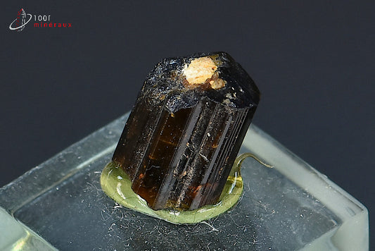 Minéral cristallisé de dravite ou tourmaline brune de Madagascar