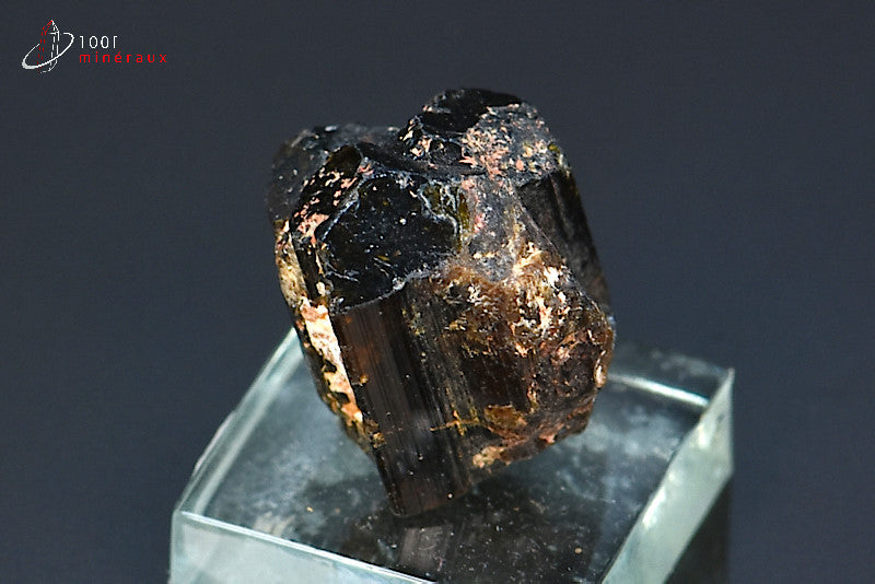 Minéral cristallisé de dravite ou tourmaline brune de Madagascar