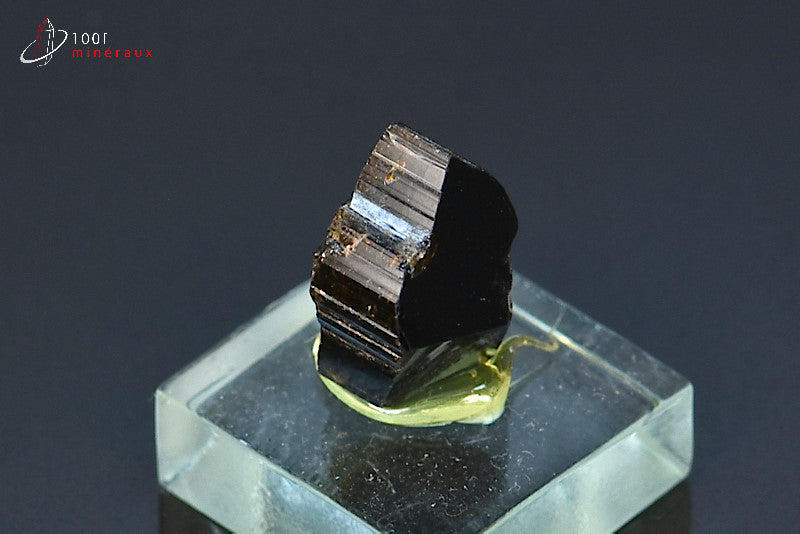 Minéral cristallisé de dravite ou tourmaline brune de Madagascar