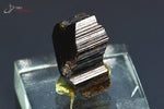 Tourmaline brune ou Dravite - Madagascar - minéraux à cristaux 1,6 cm / 3g / AR260 - Vignette | 1001 minéraux