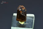 Tourmaline brune ou Dravite - Madagascar - minéraux à cristaux 1,6 cm / 3,5g / AR261 - Vignette | 1001 minéraux