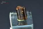 Tourmaline brune ou Dravite - Madagascar - minéraux à cristaux 1,6 cm / 3,5g / AR261 - Vignette | 1001 minéraux