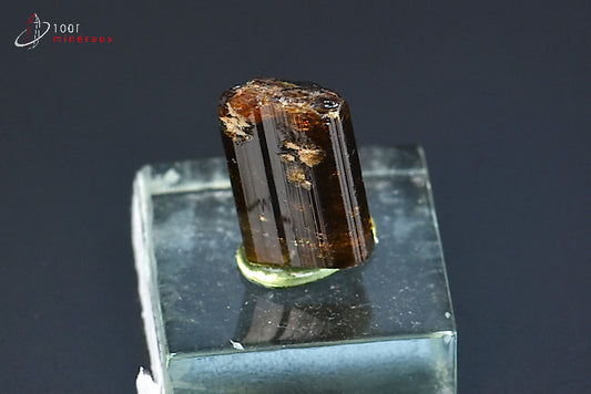 Minéral cristallisé de dravite ou tourmaline brune de Madagascar