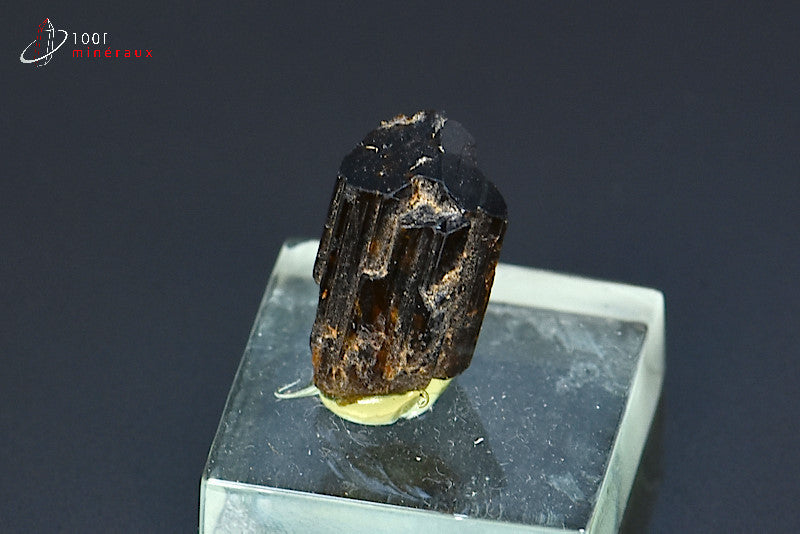 Minéral cristallisé de dravite ou tourmaline brune de Madagascar
