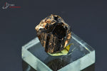 Tourmaline brune ou Dravite - Madagascar - minéraux à cristaux 1,7 cm / 5,3g / AR265 - Vignette | 1001 minéraux