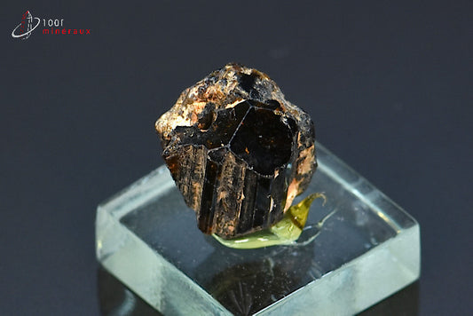 Minéral cristallisé de dravite ou tourmaline brune de Madagascar