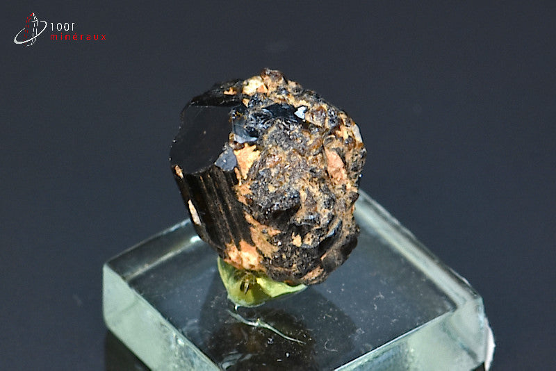Minéral cristallisé de dravite ou tourmaline brune de Madagascar
