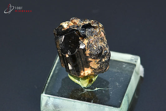 Minéral cristallisé de dravite ou tourmaline brune de Madagascar