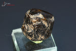 Tourmaline brune ou Dravite - Madagascar - minéraux à cristaux 1,7 cm / 7,9g / AR267 - Vignette | 1001 minéraux