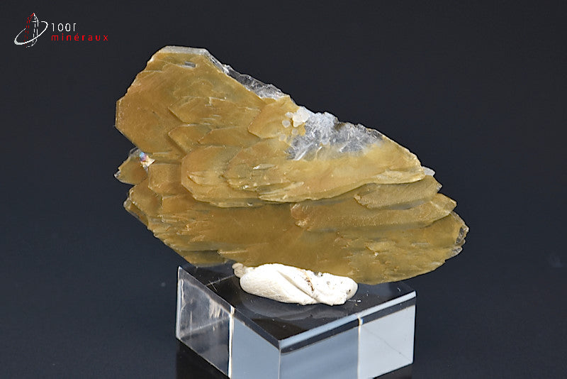 Minéral cristallisé de Baryte bleue du Maroc