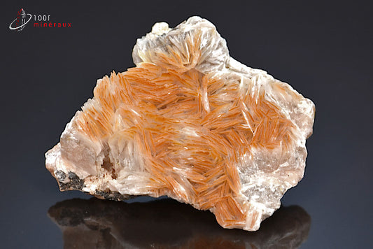 Minéral cristallisé de baryte du Maroc