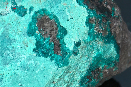 Minéral brut de chrysocolle du Pérou
