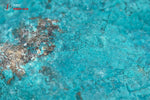 Chrysocolle brute - Pérou - minéraux bruts 6,9 cm / 139g / AS343 - Vignette | 1001 minéraux