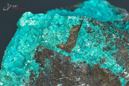 Minéral brut de chrysocolle du Pérou