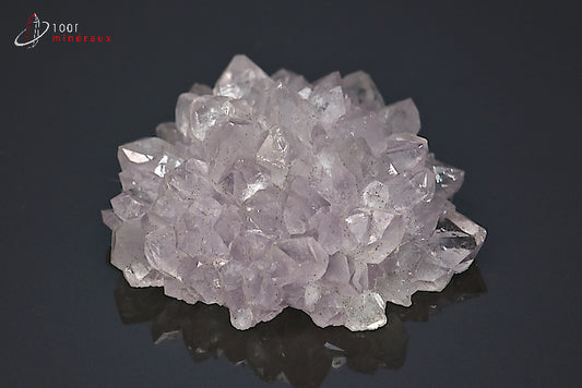 Fleur de quartz translucide du Brésil