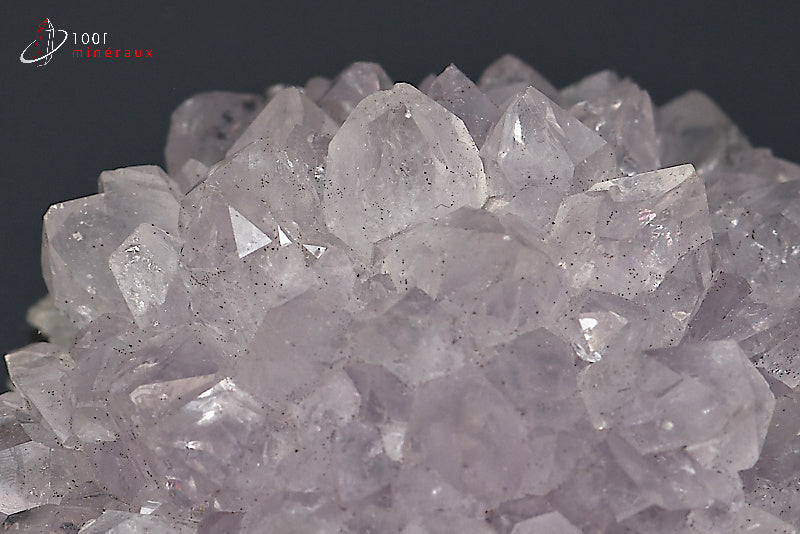 Fleur de quartz translucide du Brésil
