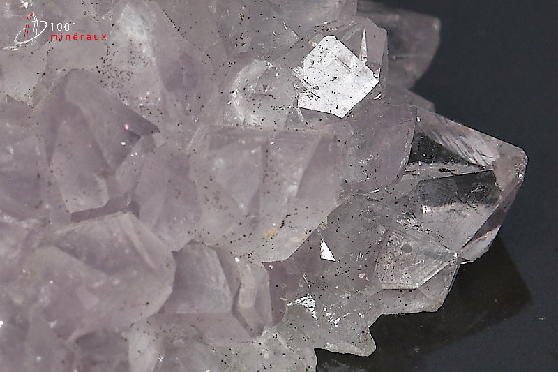 Fleur de quartz translucide du Brésil