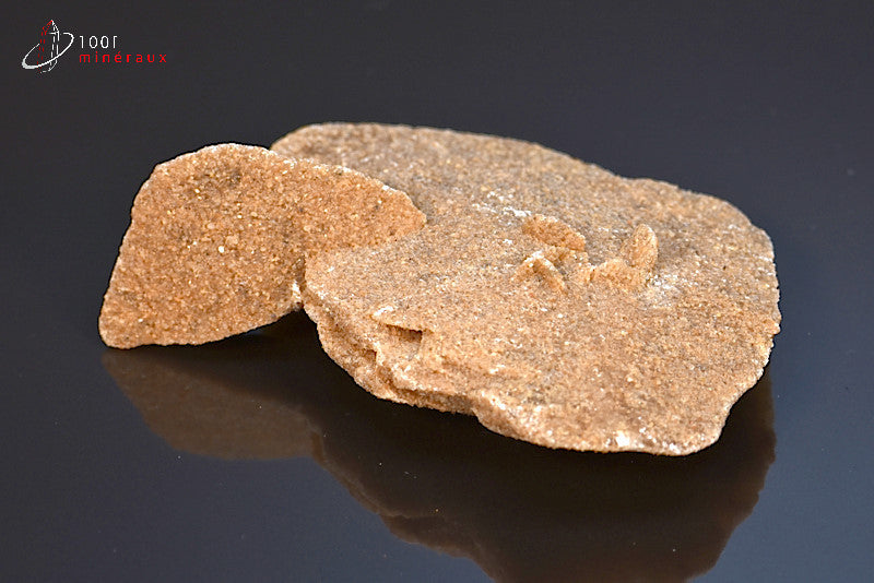 Minéral cristallisé de rose des sables d'Algérie