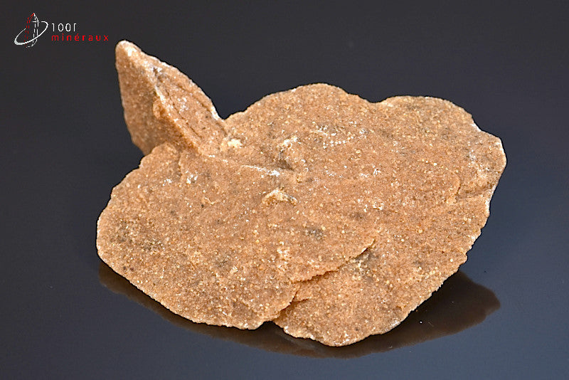 Minéral cristallisé de rose des sables d'Algérie