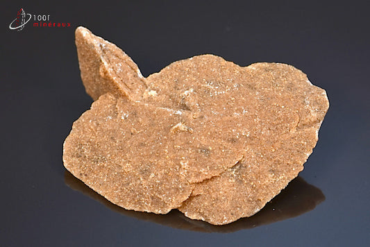 Minéral cristallisé de rose des sables d'Algérie