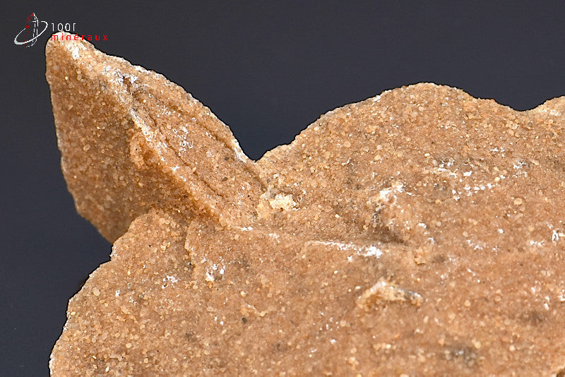 Minéral cristallisé de rose des sables d'Algérie