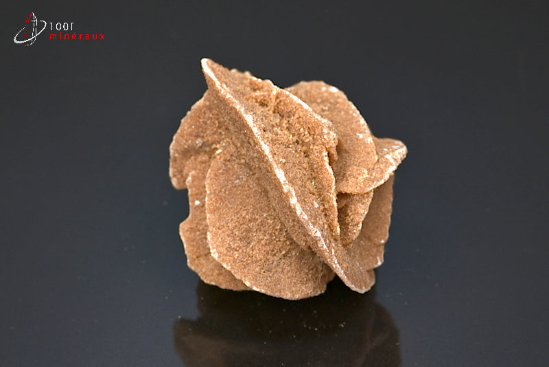 Minéral cristallisé de rose des sables d'Algérie