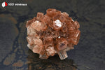 Aragonite boule - Maroc - minéraux à cristaux 3,9 cm / 48g / AV747 - Vignette | 1001 minéraux