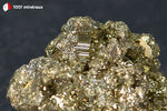 Pyrite brute du Pérou (nombreux cristaux cubiques 2 mm) - 123 g / AW104 - Vignette | 1001 minéraux