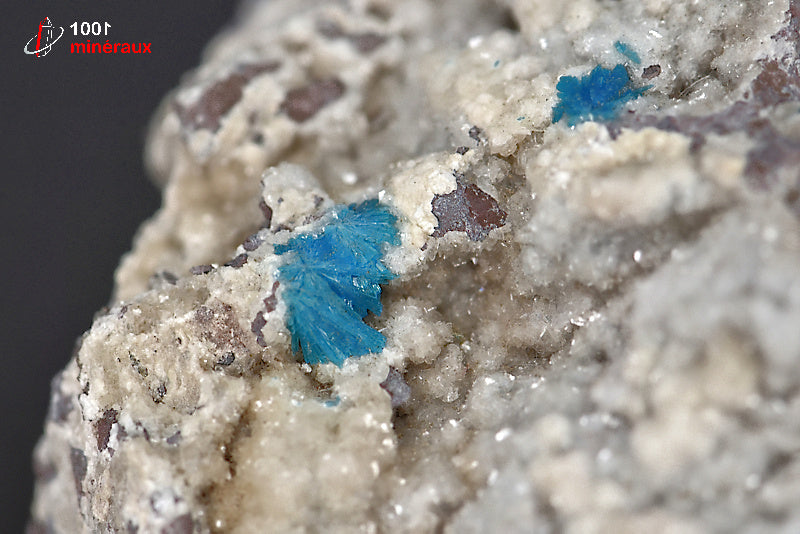 Minéral cristallisé de cavansite bleue d'Inde
