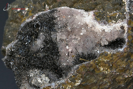 Minéral cristallisé de pyrolusite polianite du Maroc