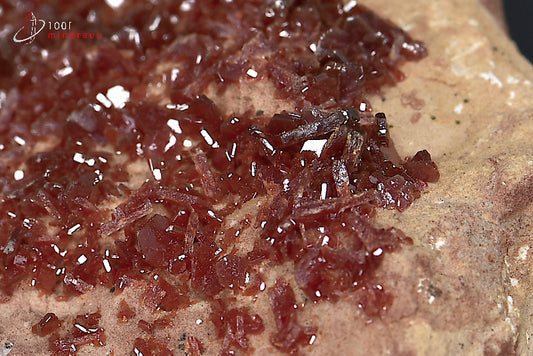 Minéral cristallisé de vanadinite du Maroc