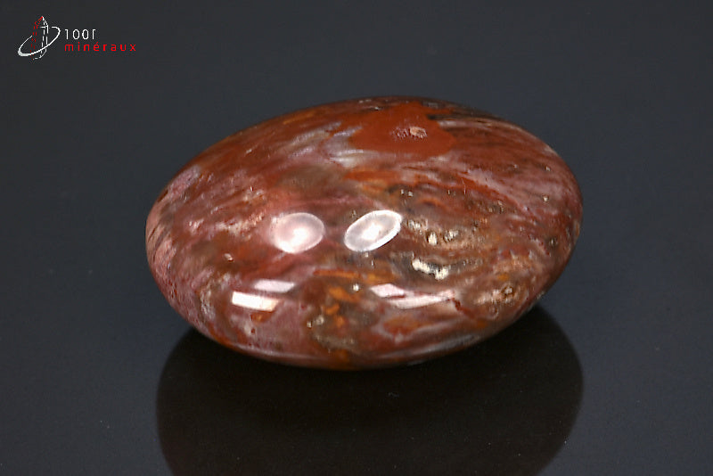 Fossile poli de bois fossilisé rouge de Madagascar