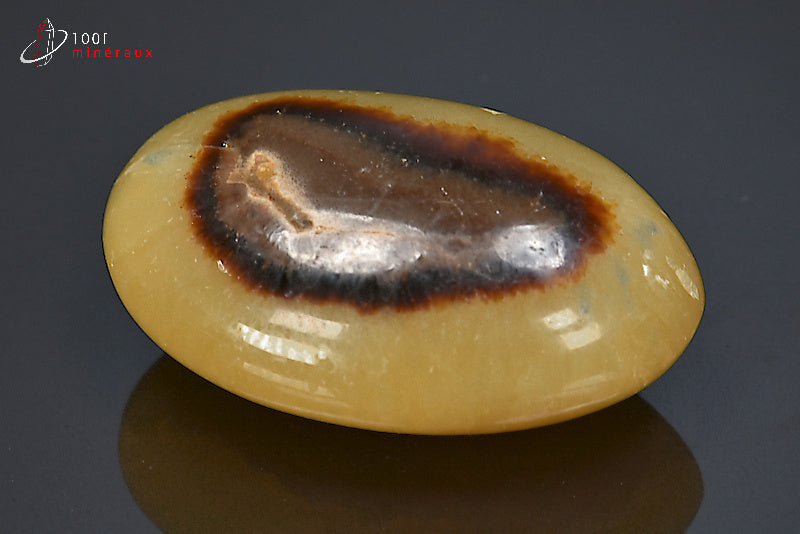 Minéral poli en galet de septaria jaune et marron de Madagascar