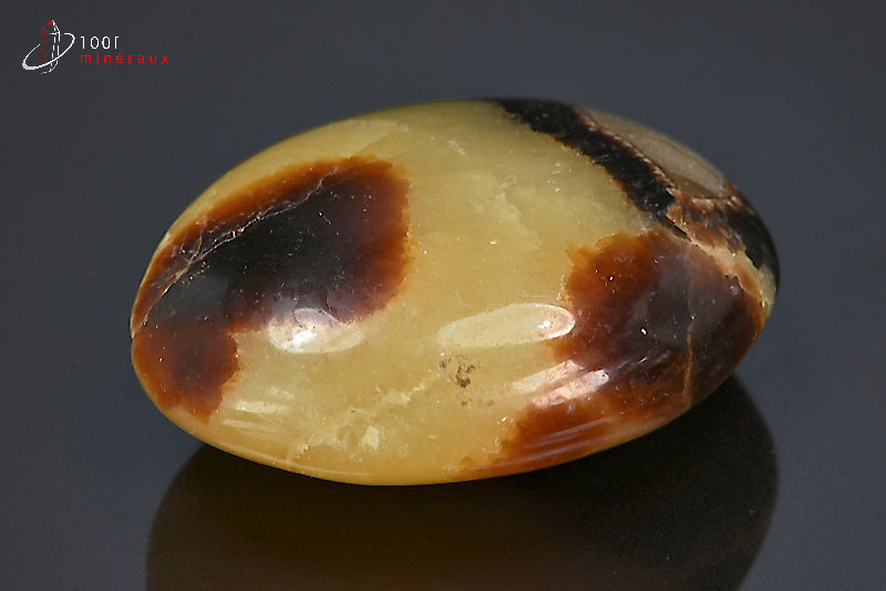 Minéral poli en galet de septaria jaune et marron de Madagascar
