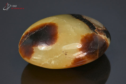 Minéral poli en galet de septaria jaune et marron de Madagascar