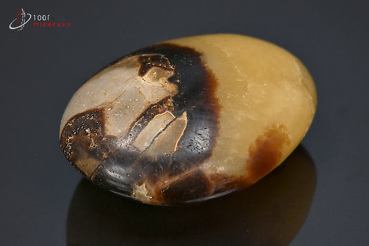 Minéral poli en galet de septaria jaune et marron de Madagascar