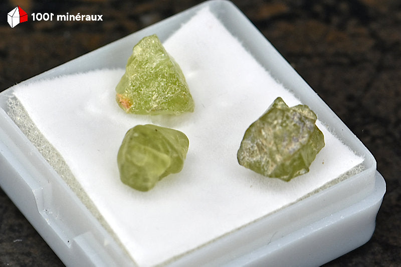 Péridot des États-Unis - Détail des cristaux vert olive translucides - 1,7 g