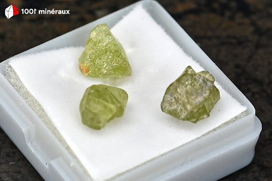 Péridot des États-Unis - Détail des cristaux vert olive translucides - 1,7 g