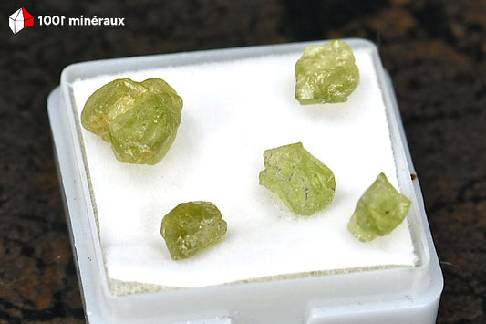 Péridot des États-Unis - Détail des cristaux vert olive translucides - 1,5 g