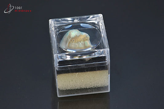 Minéral brut d'opale d'Ethiopie