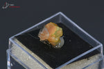 Opale brute - Ethiopie - minéraux bruts 0,9 cm / 0,8 g / AX568 - Vignette | 1001 minéraux