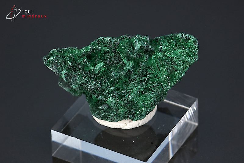 Malachite soyeuse verte cristallisée du Zaïre ou République démocratique du Congo sur socle