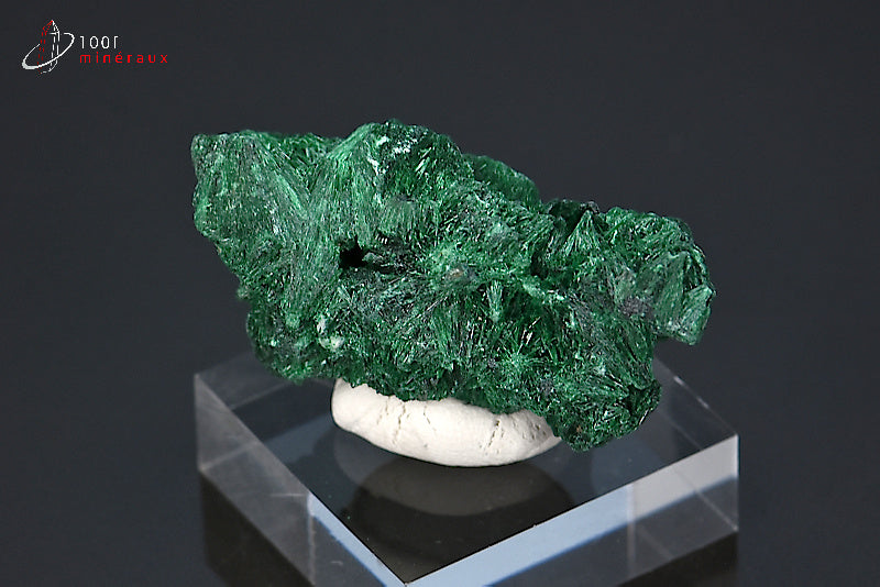 Malachite soyeuse verte cristallisée du Zaïre ou République démocratique du Congo sur socle