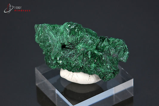 Malachite soyeuse verte cristallisée du Zaïre ou République démocratique du Congo sur socle